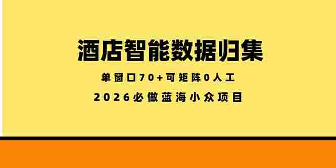 （18500期）酒店智能数据归集，小众蓝海已经稳定半年之久，单窗口70+零成本矩阵开干-创业云网赚项目