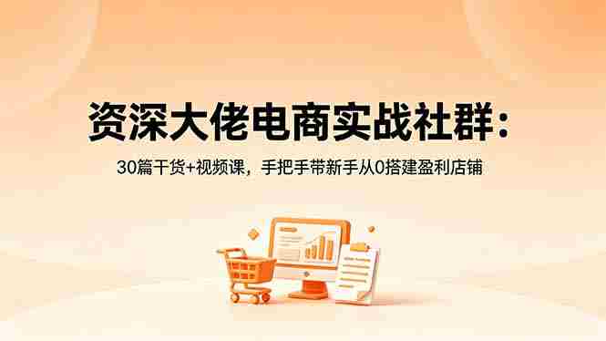 （18529期）资深大佬电商实战社群：30篇干货+视频课，手把手带新手从0搭建盈利店铺-创业云网赚项目
