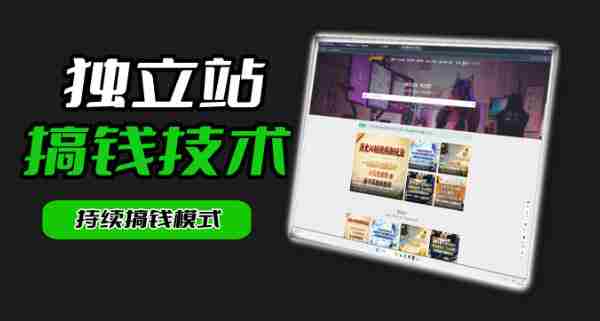 干货来袭！麦子甜带你吃透独立站｜从搭建到引流一站式教学《独立站》第一期-创业云网赚项目