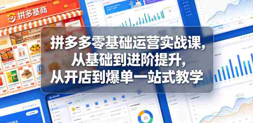 拼多多零基础运营实战课，从基础到进阶提升，从开店到爆单一站式教学-创业云网赚项目