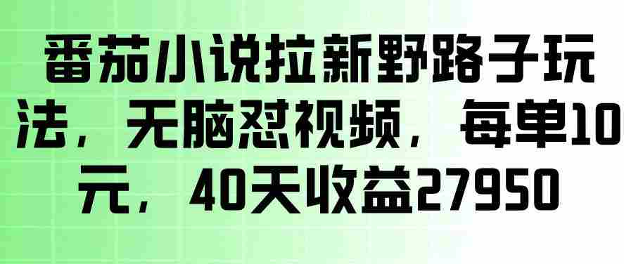 番茄小说拉新野路子玩法，无脑怼视频，玩法简单、见效快，每单10米，40天收益27950-创业云网赚项目
